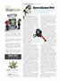 Page: - 110 | High Times
