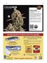 Page: - 117 | High Times
