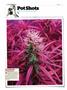Page: - 120 | High Times