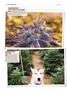 Page: - 122 | High Times
