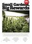 Page: - 45 | High Times