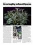 Page: - 50 | High Times