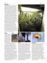 Page: - 52 | High Times