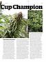 Page: - 63 | High Times
