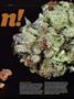 Page: - 73 | High Times
