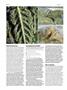 Page: - 74 | High Times