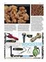 Page: - 78 | High Times