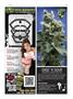 Page: - 93 | High Times