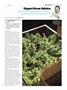 Page: - 99 | High Times
