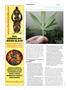 Page: - 102 | High Times