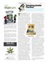 Page: - 110 | High Times