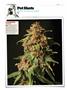 Page: - 120 | High Times