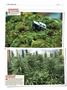 Page: - 122 | High Times