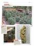 Page: - 124 | High Times