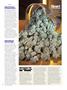 Page: - 23 | High Times