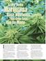 Page: - 42 | High Times