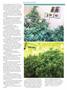 Page: - 43 | High Times