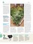 Page: - 50 | High Times