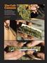 Page: - 56 | High Times
