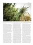 Page: - 60 | High Times