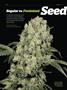 Page: - 72 | High Times