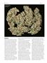 Page: - 74 | High Times