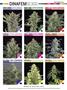 Page: - 75 | High Times