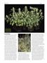 Page: - 76 | High Times