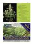 Page: - 78 | High Times