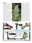 Page: - 80 | High Times