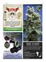 Page: - 93 | High Times