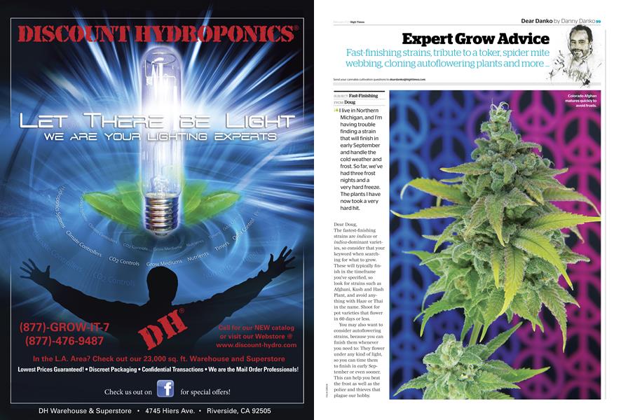 Expert Grow Advice