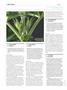 Page: - 100 | High Times