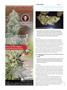 Page: - 104 | High Times