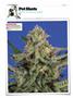 Page: - 120 | High Times