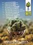 Page: - 125 | High Times