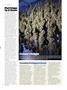 Page: - 23 | High Times