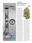Page: - 36 | High Times
