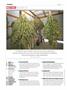 Page: - 4 | High Times