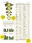 Page: - 40 | High Times