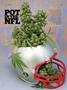 Page: - 45 | High Times
