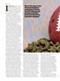 Page: - 46 | High Times