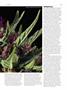 Page: - 61 | High Times