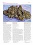 Page: - 62 | High Times