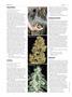 Page: - 64 | High Times