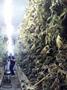 Page: - 73 | High Times