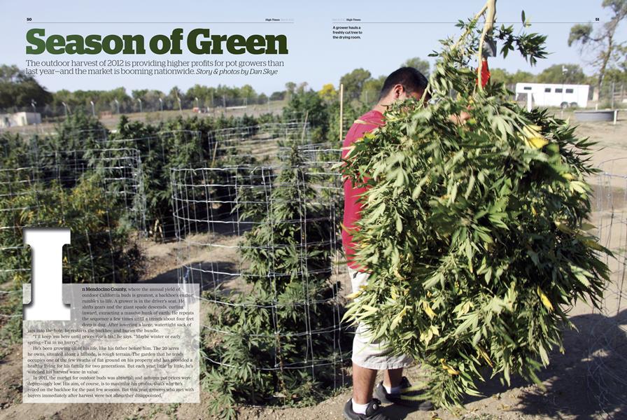 Season of Green