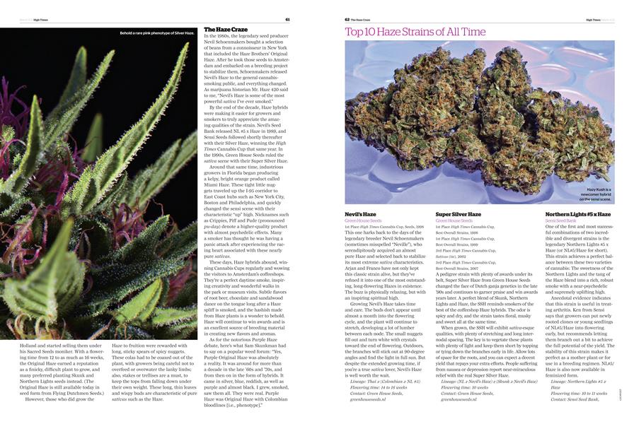 Top 10 Haze Strains of All Time