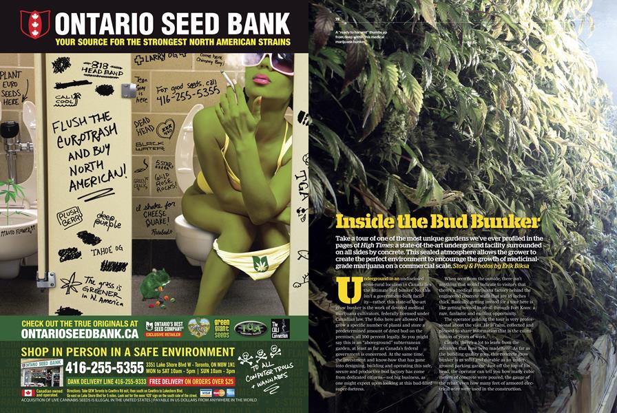 Inside the Bud Bunker