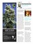 Page: - 106 | High Times